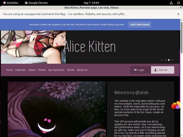 AliceKitten Collection