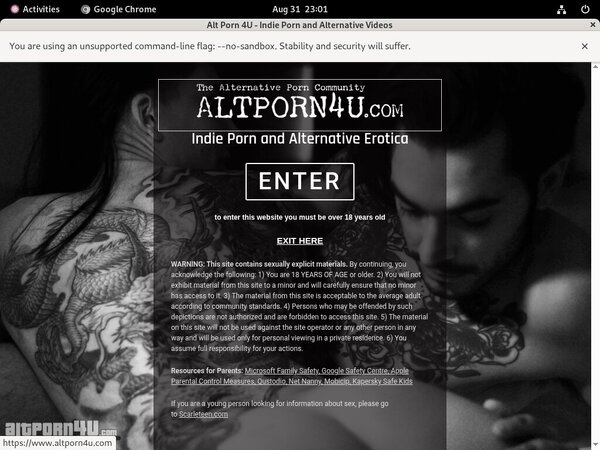 Alt Porn 4 U Account Creator