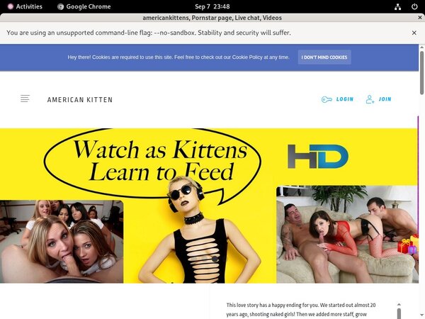 Americankittens With Online Check