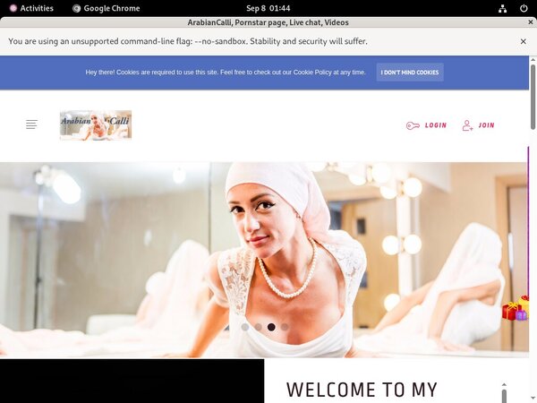 Arabiancalli.modelcentro.com Free App