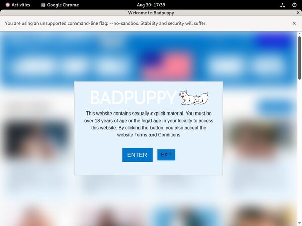 Badpuppy.com Accounts