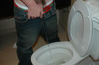 Boys Pissing Get Free Trial s1