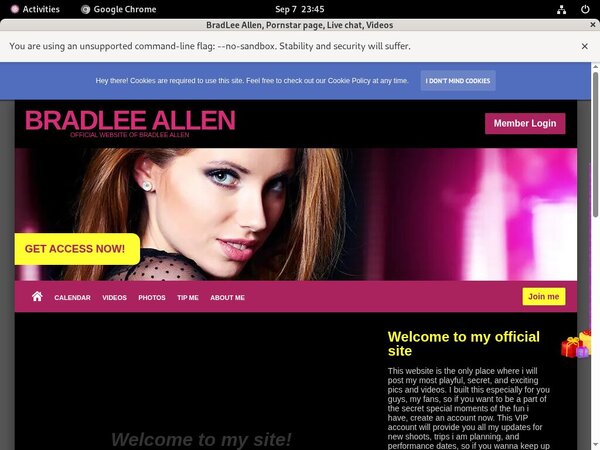 BradLeeAllen Site-rip