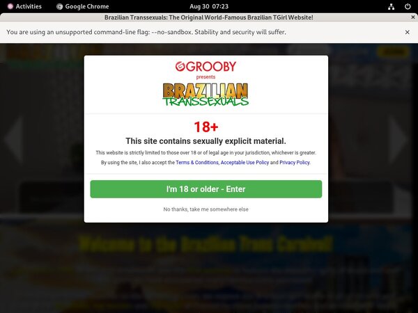 Braziliantranssexuals Free Hd Videos