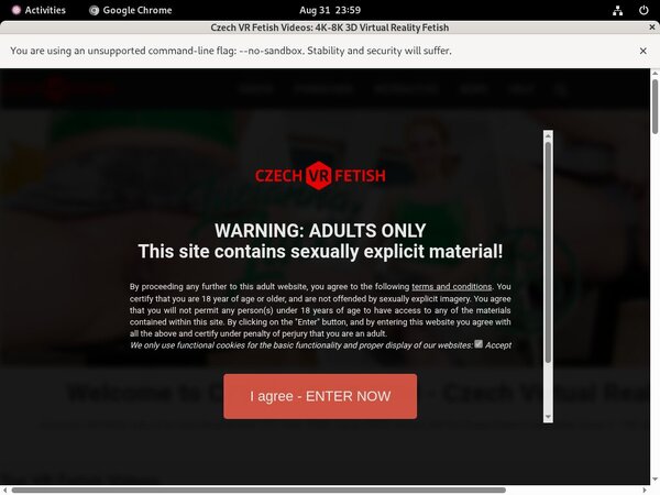 Czechvrfetish.com Accounts Free