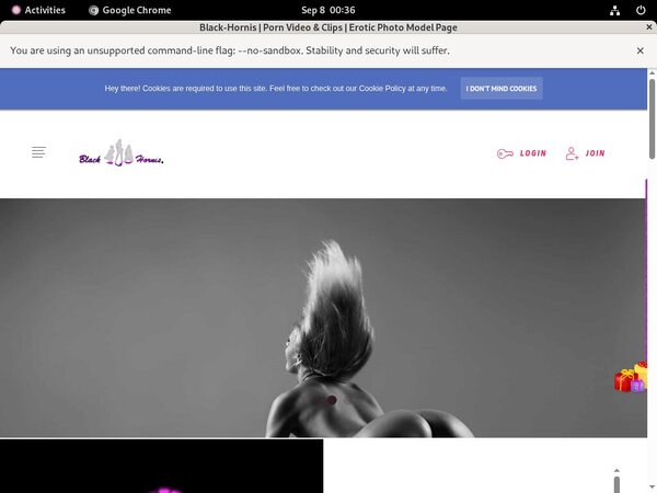 Discount Black-hornis.net Trial Offer
