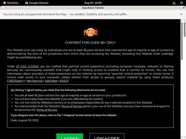 Dl Gayasiantwinkz.com Site Rip