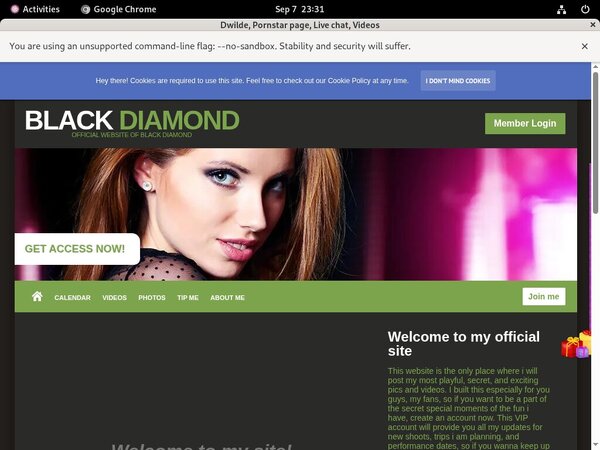 Dwilde.modelcentro.com Bill Ccbill Com