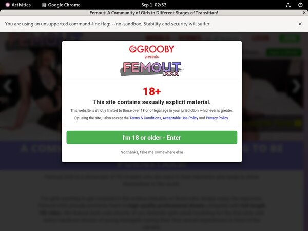 Femout Paypal Options