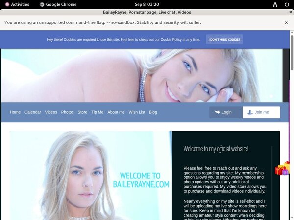 Free Baileyrayne.com Hacked Login