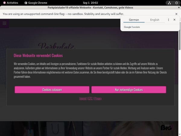 Free Parkplatzluder19.com Premium Account