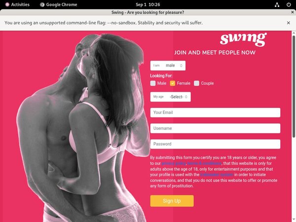 Free User For Swing.net