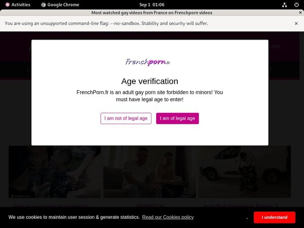 Frenchporn Members Area