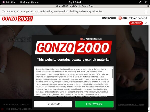 Gonzo2000 Porn Stars