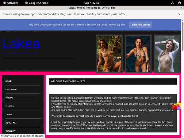 How To Get Lakea_Model Account