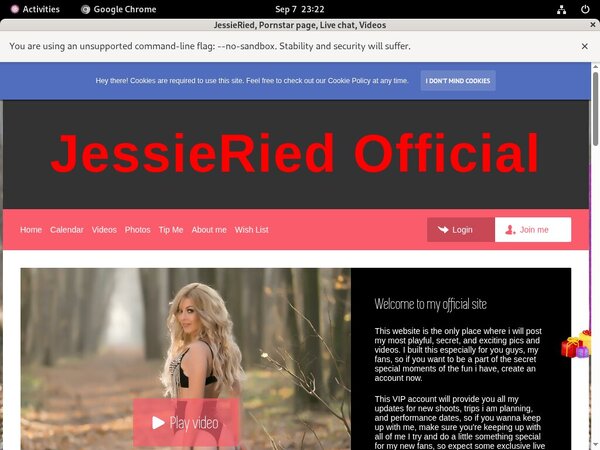 JessieRied Tour