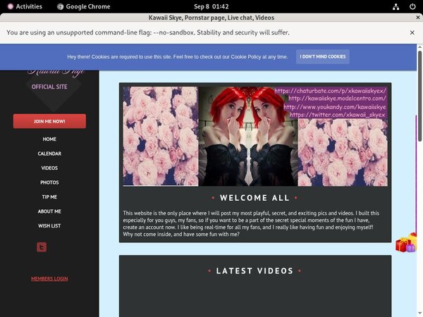 Kawaii Skye Members Area