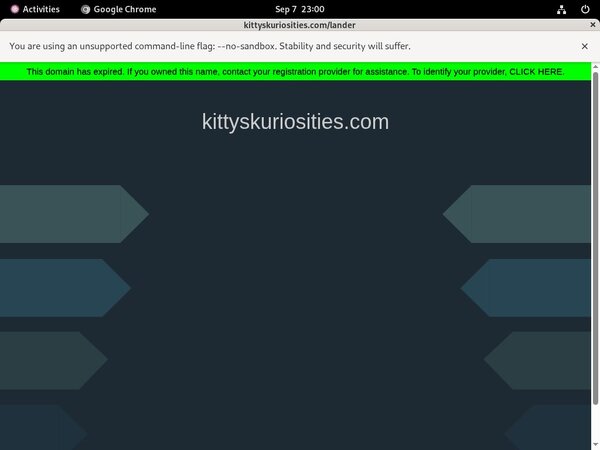 Kitty's Kuriosities Collection