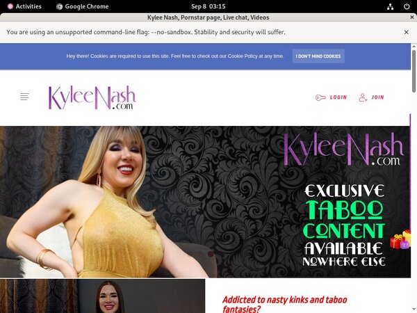 Kyleenash.com Accounts And Passwords