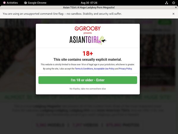 Ladyboy Ladyboy Clips4sale