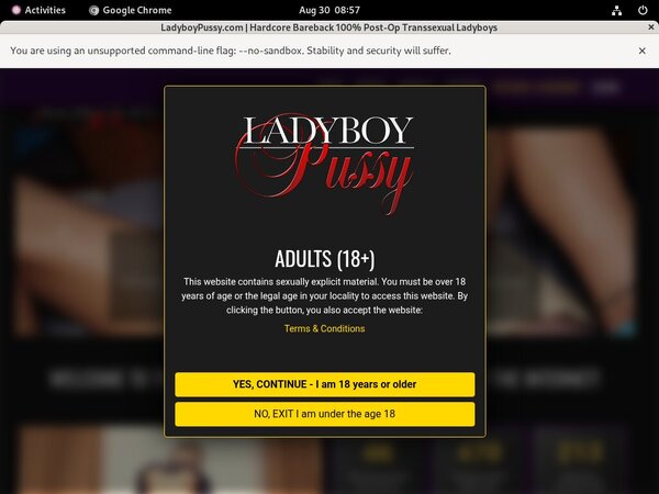 Ladyboy Pussy Receive Discount