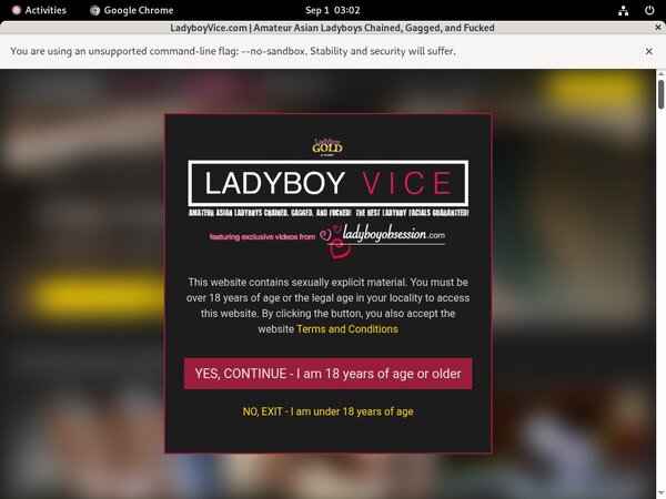 Ladyboy Vice Vxsbill Page
