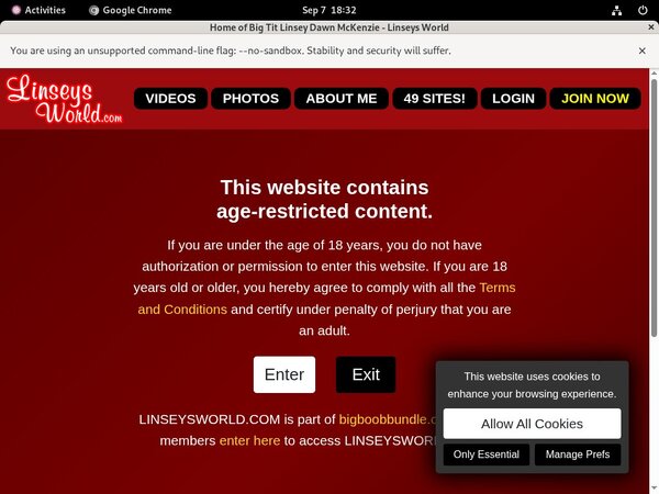 Linseysworld.com Discount Special