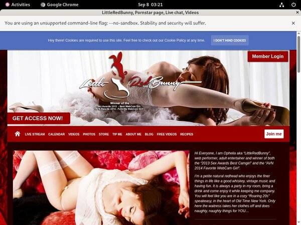 LittleRedBunny Net