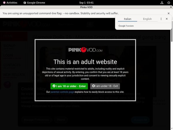 Log In Pinkovod