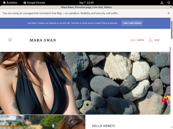 Maraswan.net Password Blog
