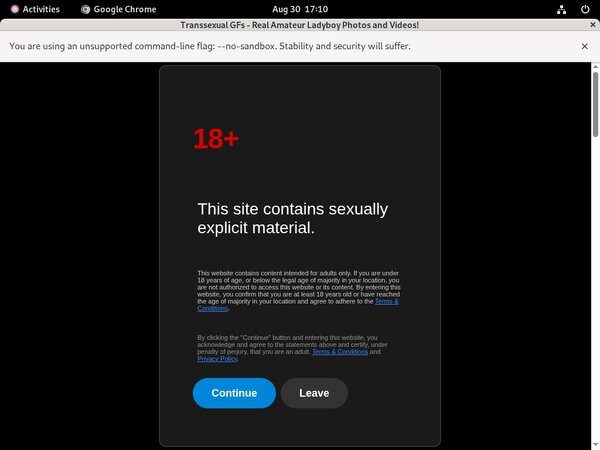 New Free Transsexual GFs Account