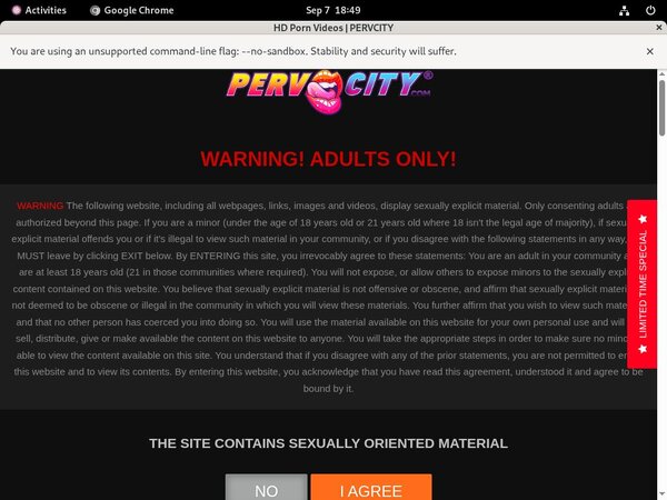 Perv City Sites
