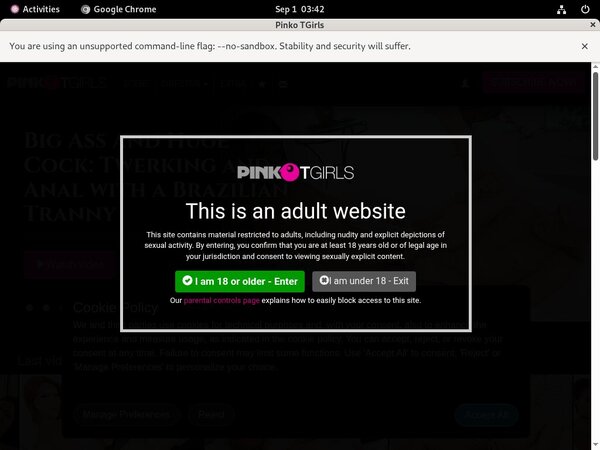 Pinkotgirls Premium Passwords