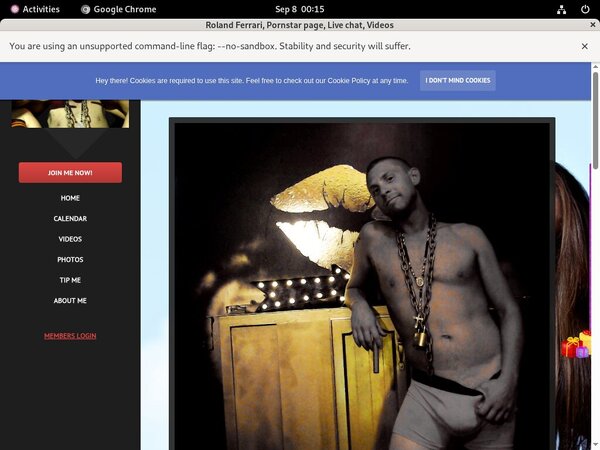 Roland Ferrari Model