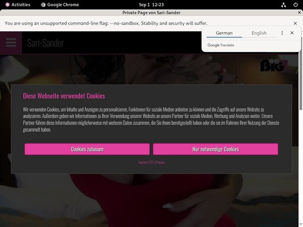 Sari Sander Free Account