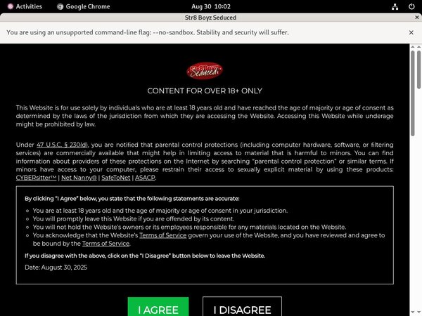 Site Rip Seduced Boyz Str8