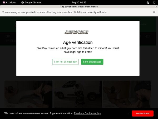 Sketboy.com Passcodes