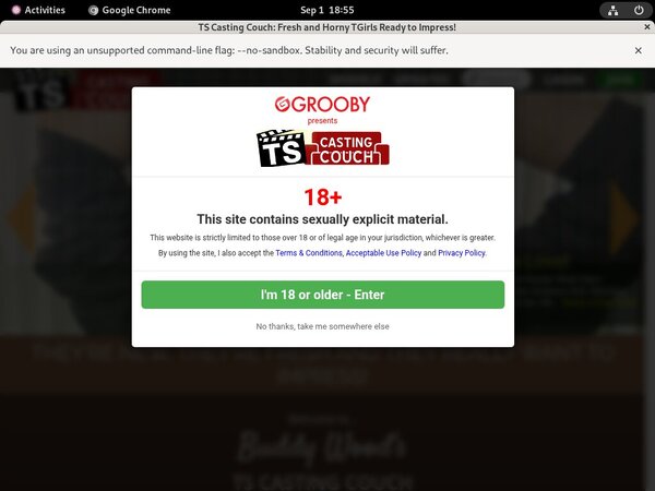 TS Casting Couch Discount Site