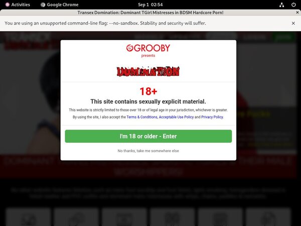 Transex Domination Full Movie