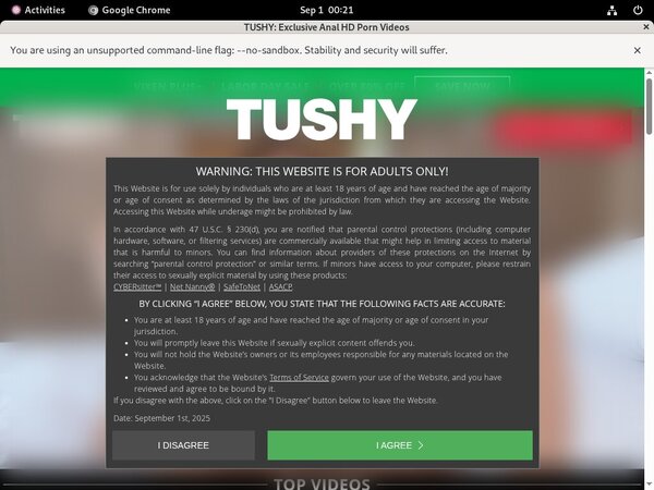 Tushy Sex.com