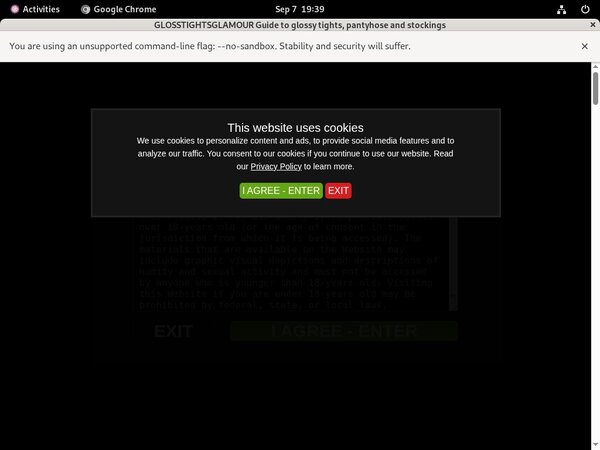 Use Paypal Gloss Tights Glamour