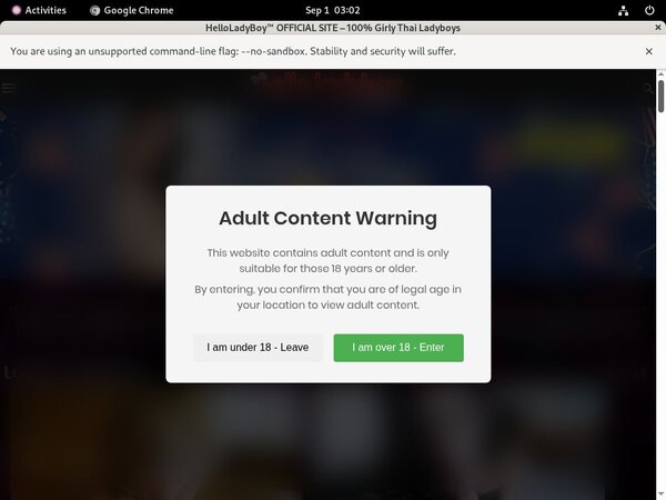 Video Helloladyboy.com