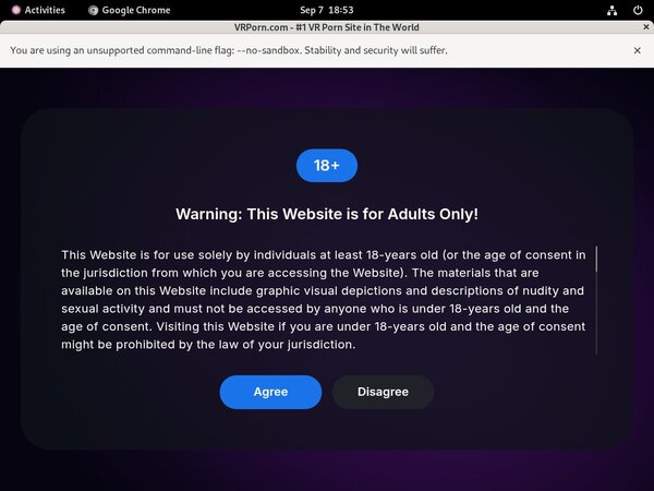 Vrporn.com Segpay Discount