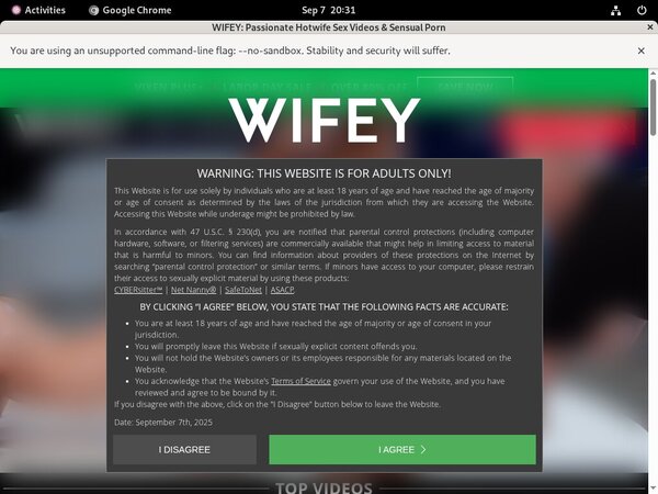 Wifey Premium Passwords