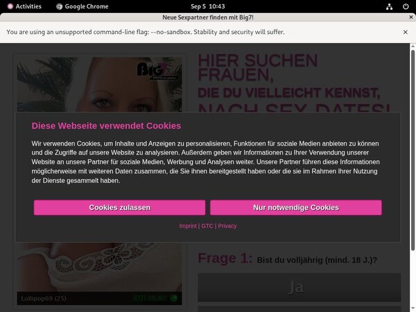 Yoursecretdream.com Probiller