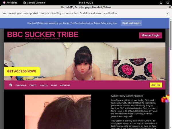 Free Trial Linxer2013.modelcentro.com