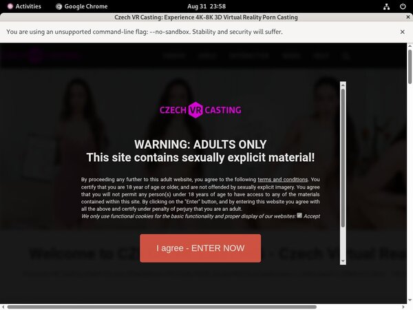 Czech VR Casting Hub