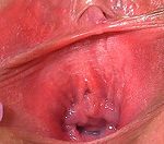 Free Login Gape My Pussy