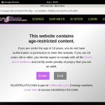 Silversluts.com Pricing